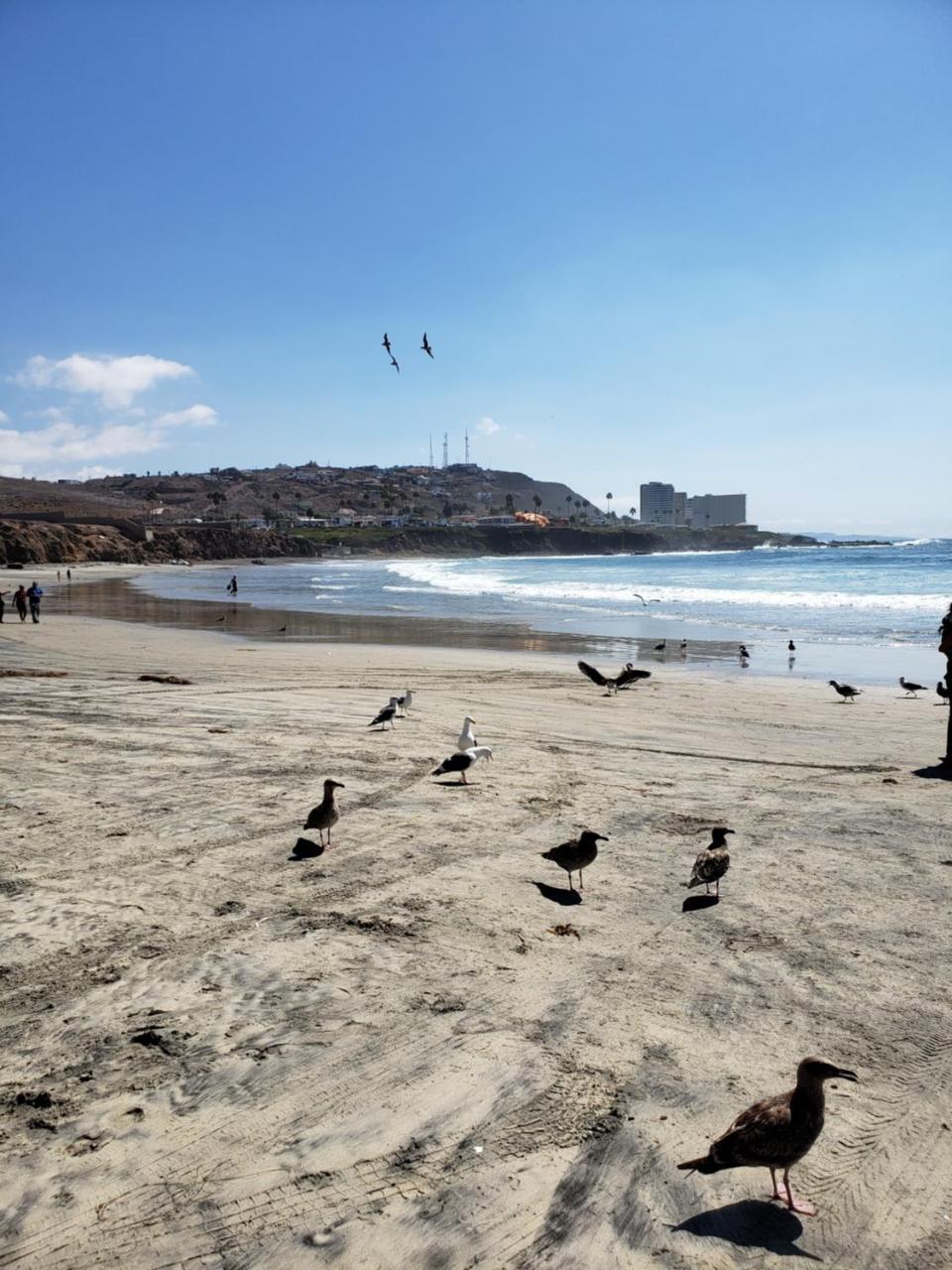 Calfia Condo Rosarito Eksteriør billede